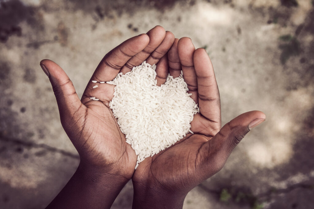 Hands,Holding,Rice